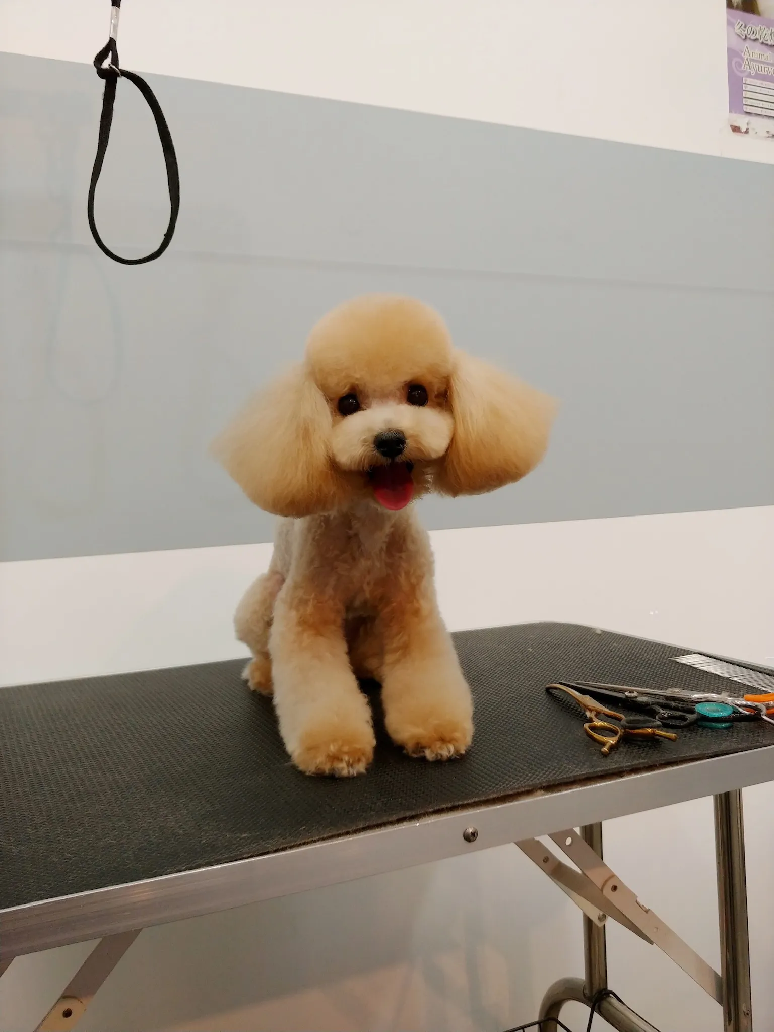 이미지 6