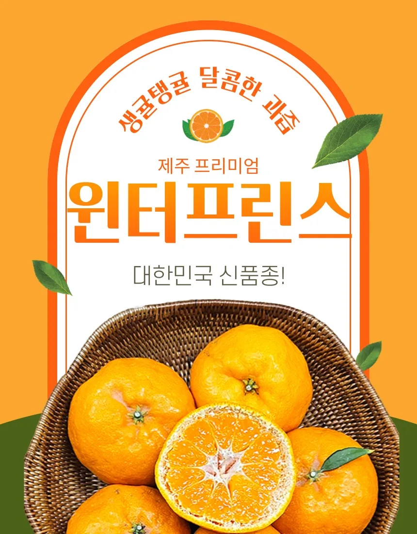 이미지 5