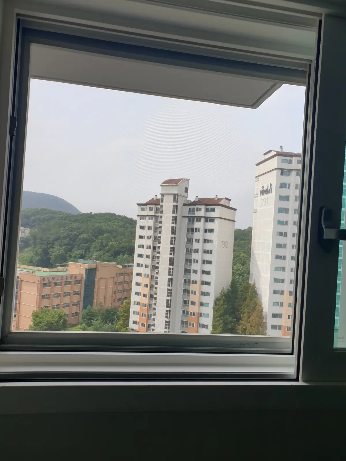 이미지 5