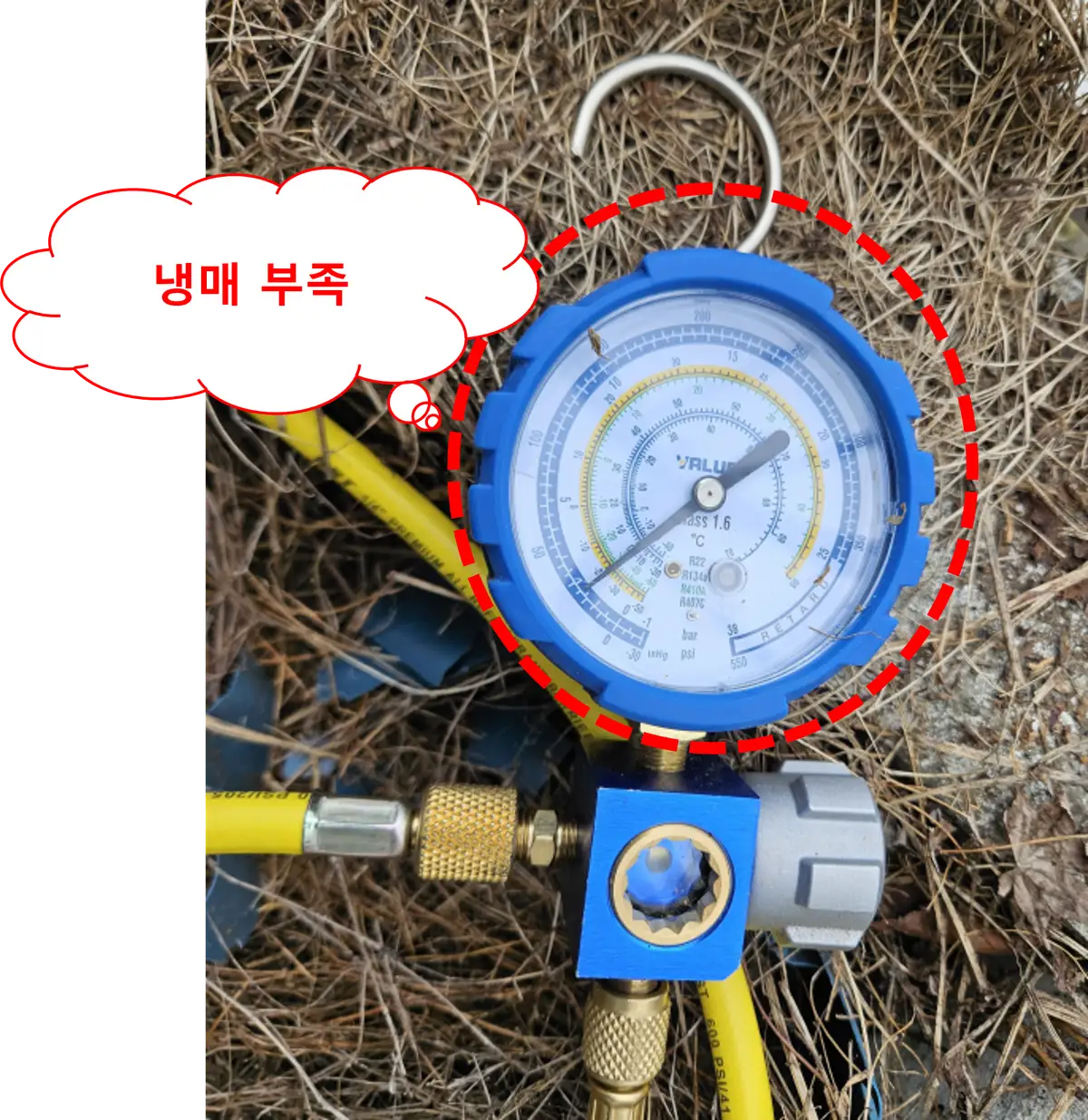이미지 8