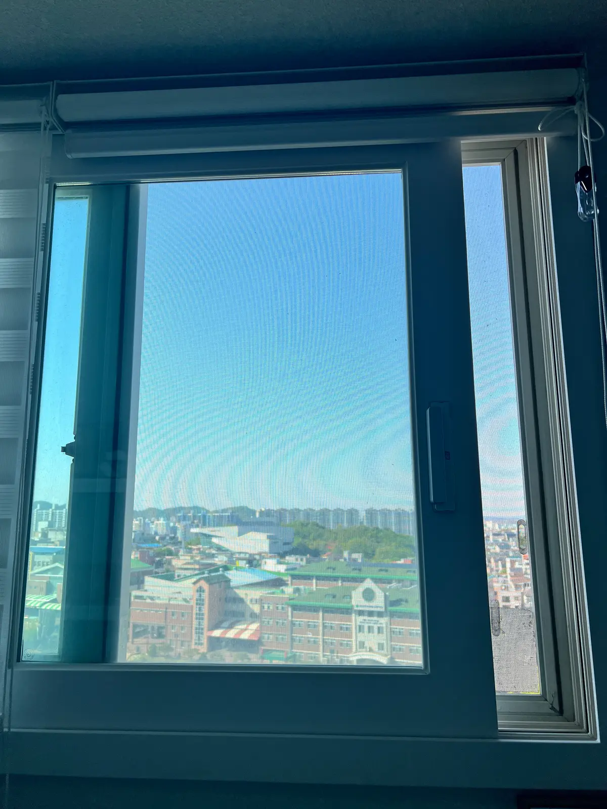 이미지 7