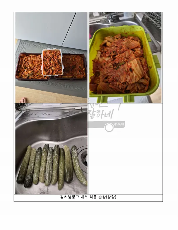 이미지 12