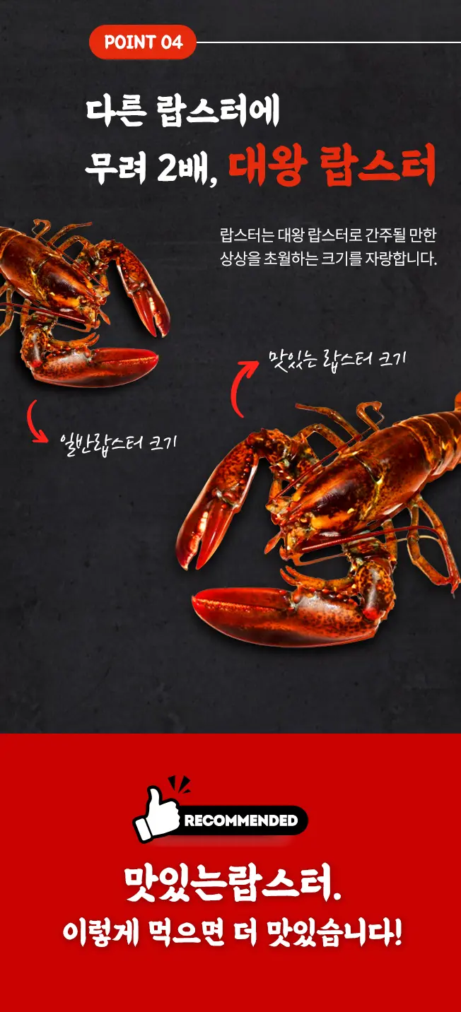 이미지 6