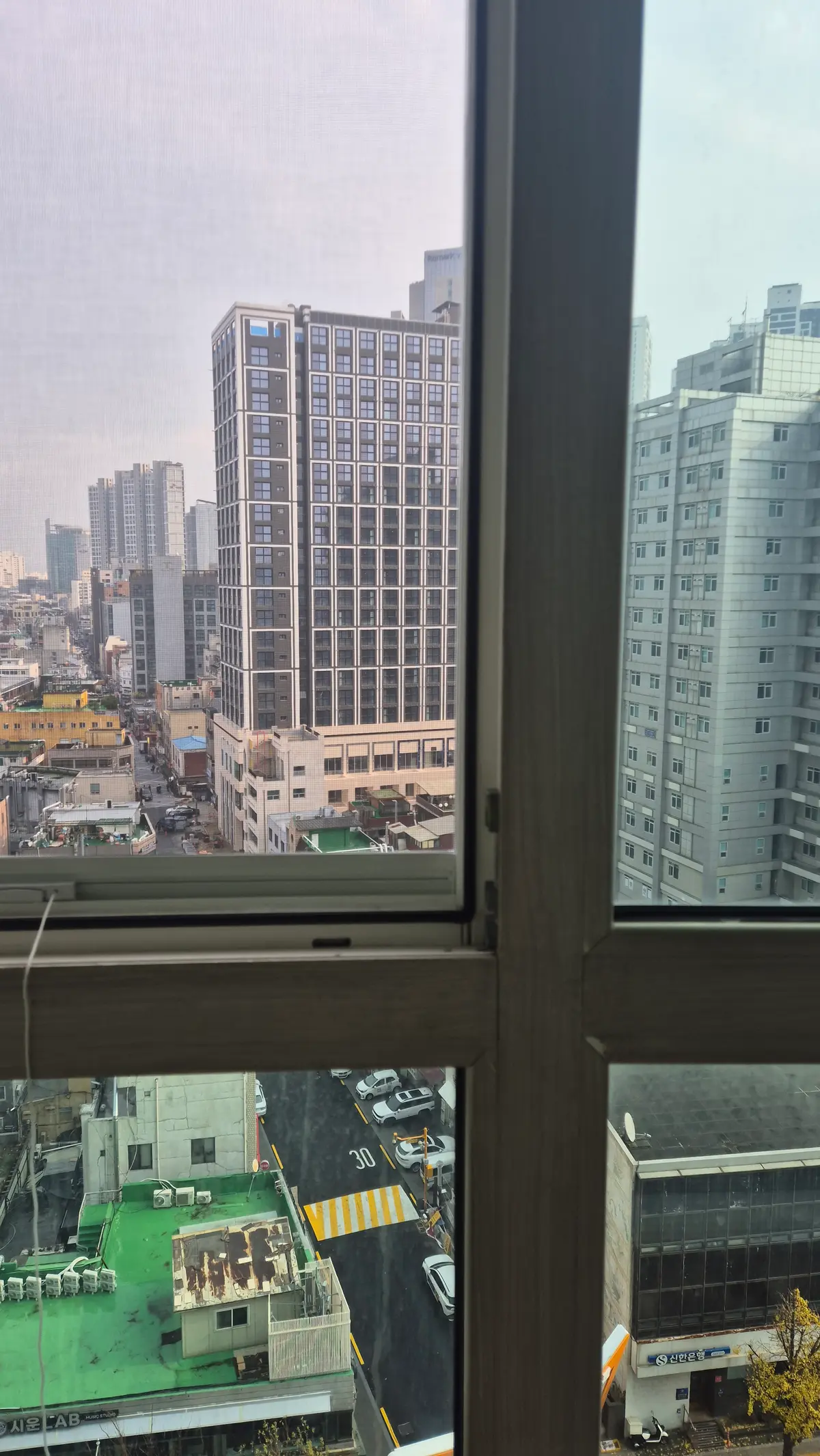 이미지 10
