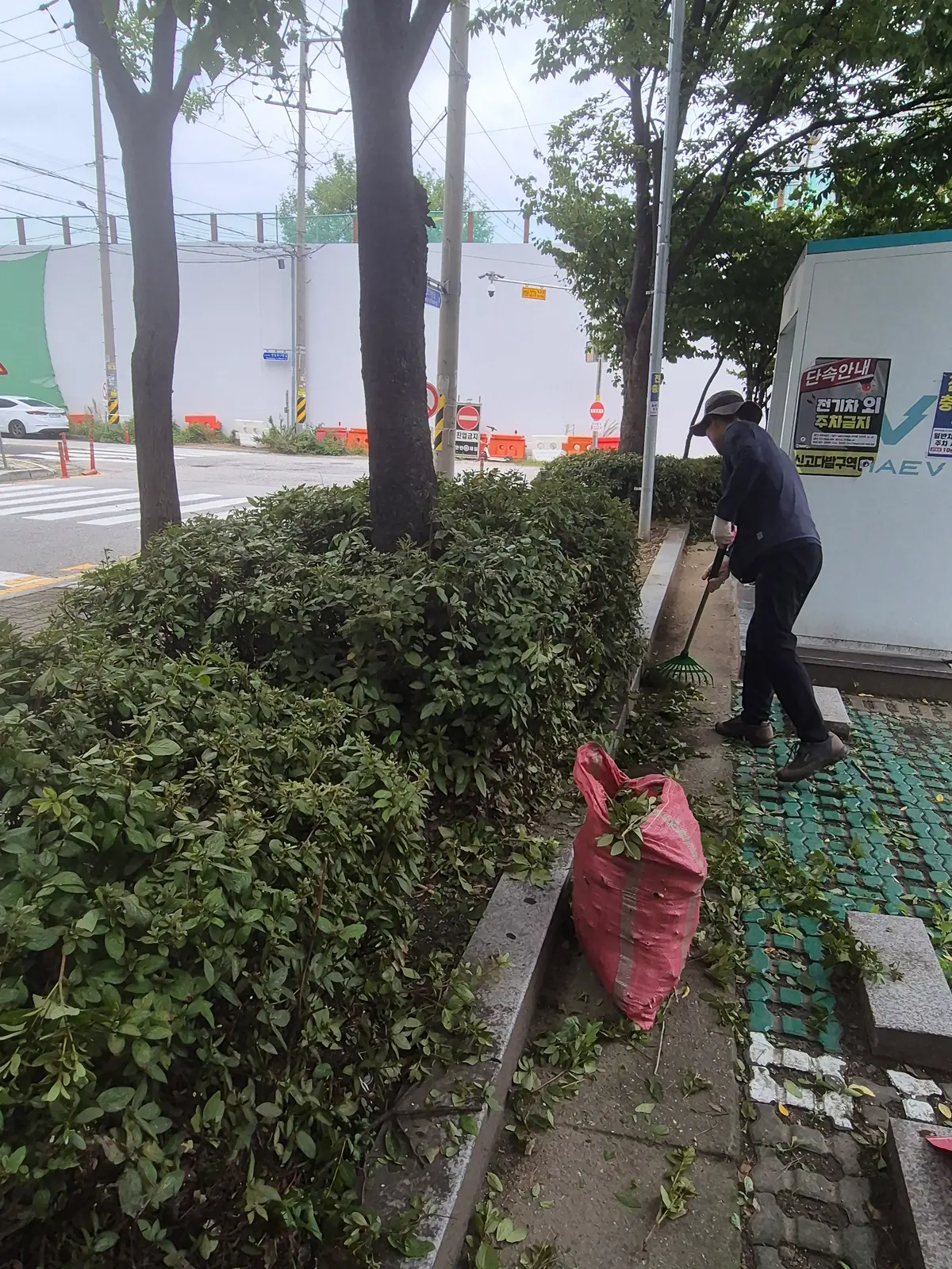 이미지 14