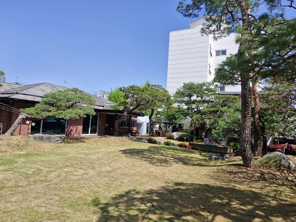 이미지 10