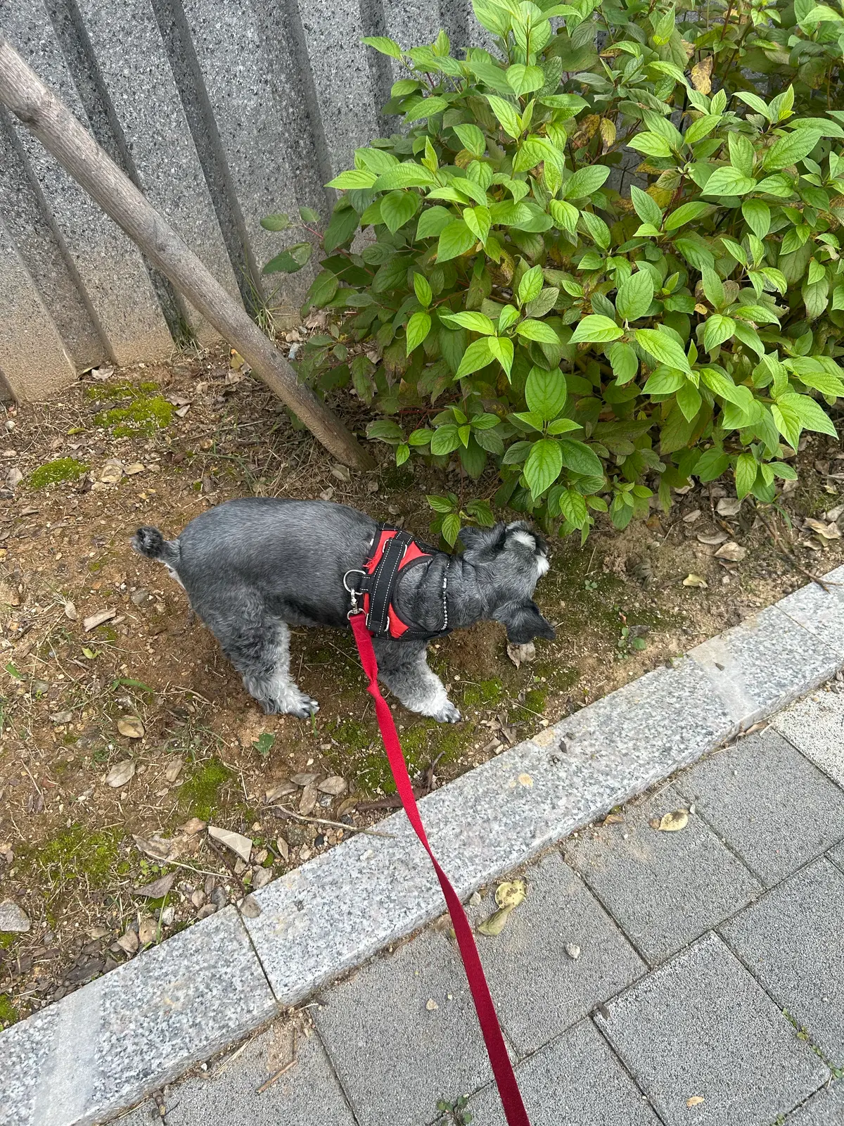 이미지 4
