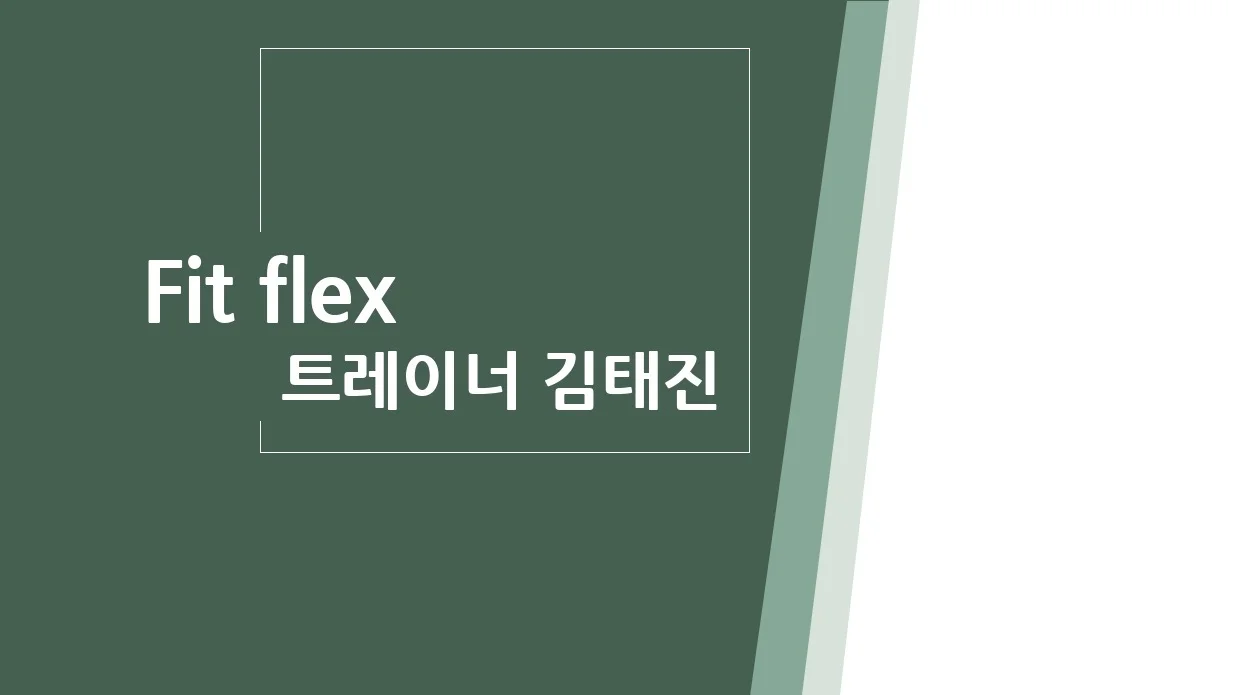 포트폴리오 이미지