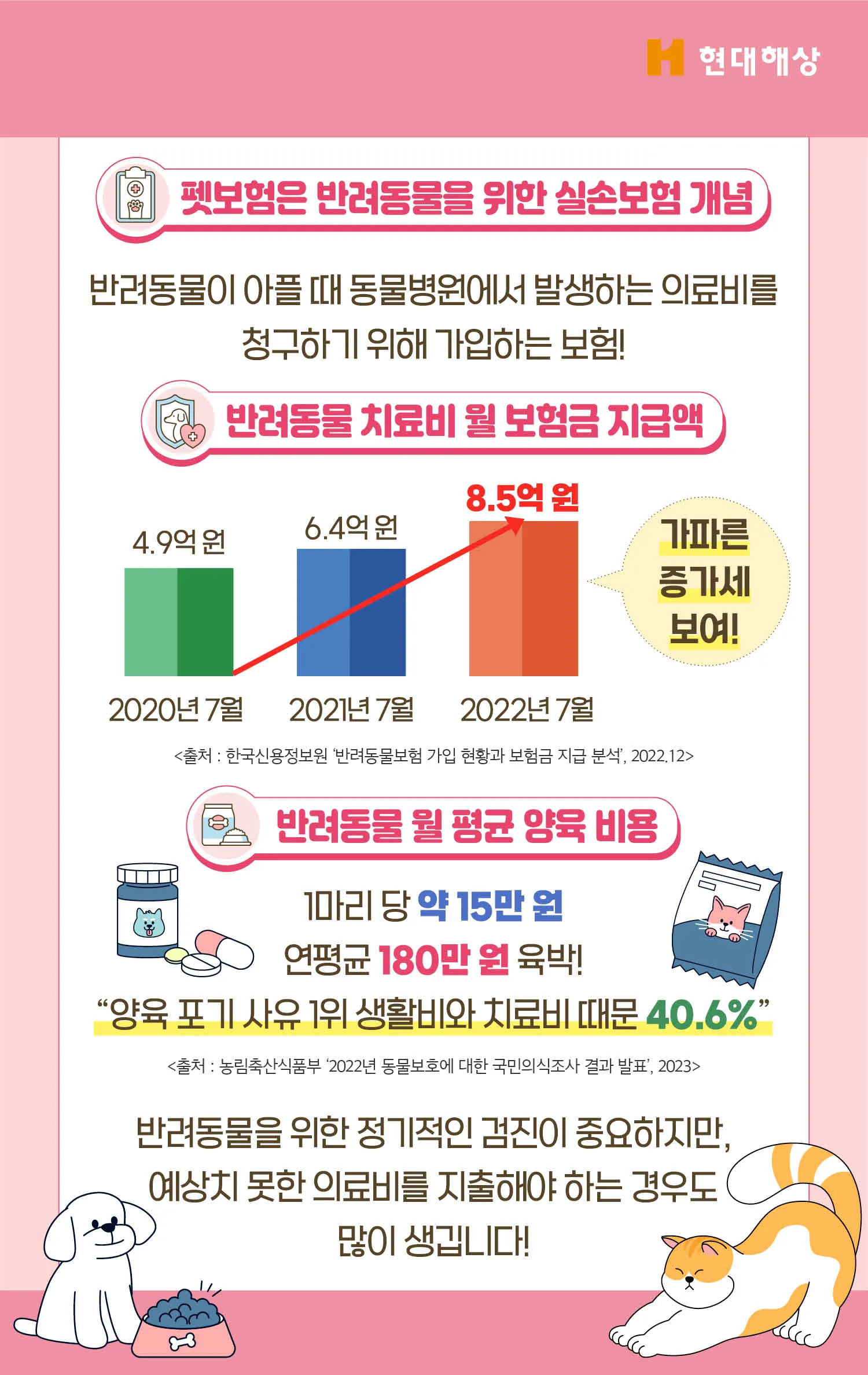 이미지 5