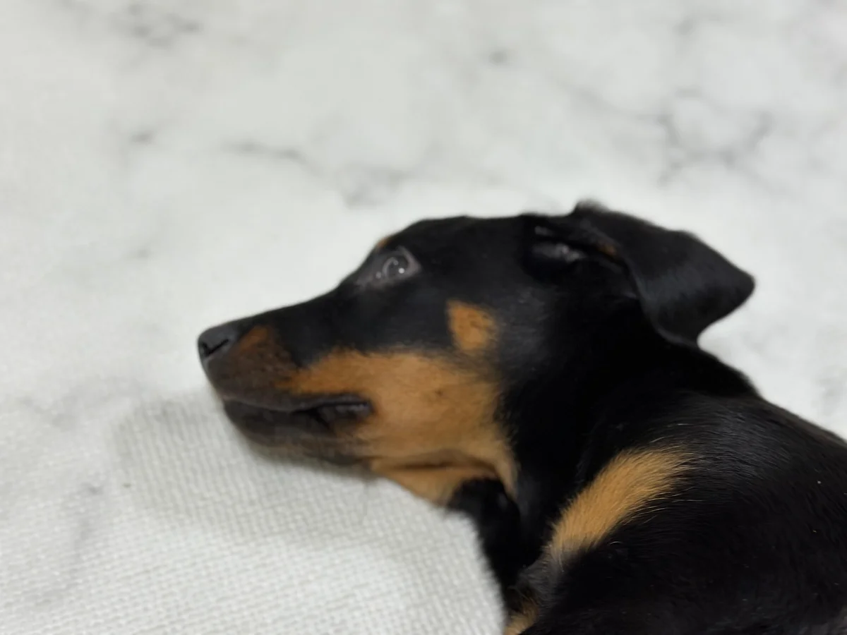 이미지 5