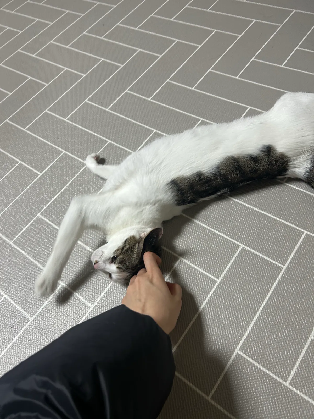 이미지 18