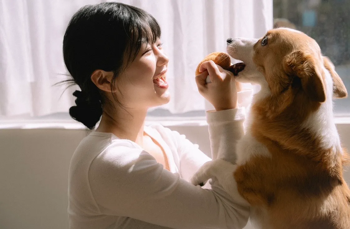 이미지 8