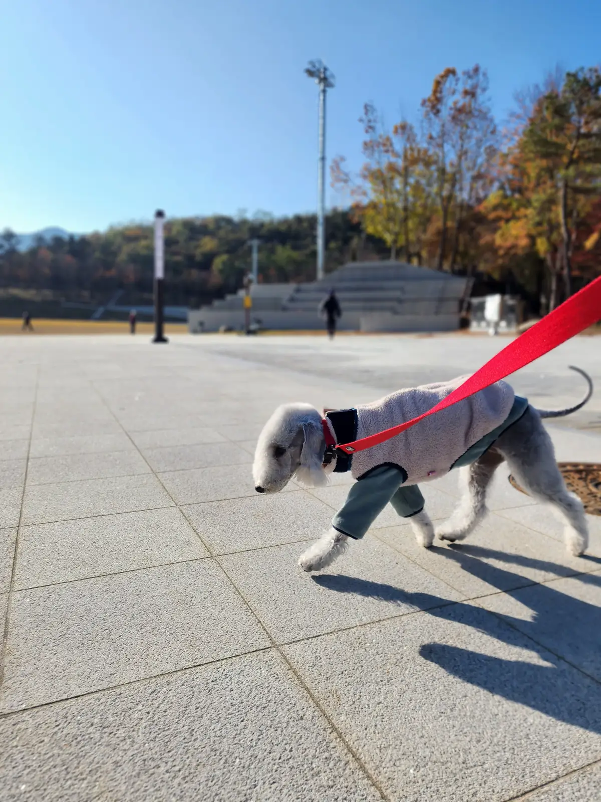 이미지 6