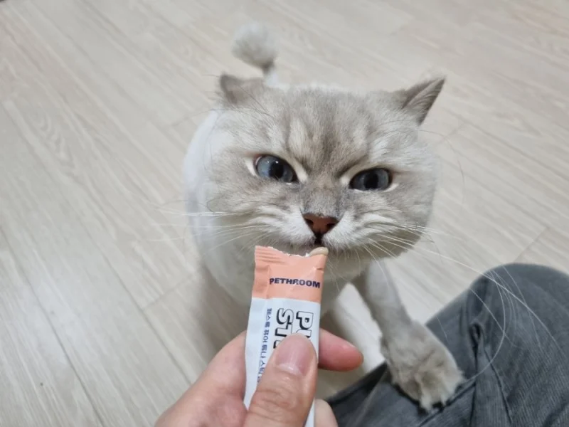 이미지 3