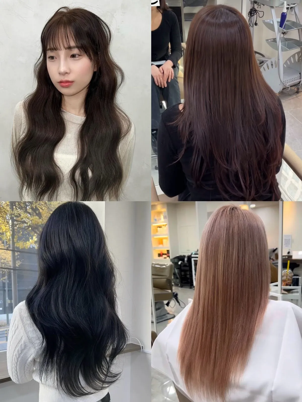 이미지 3