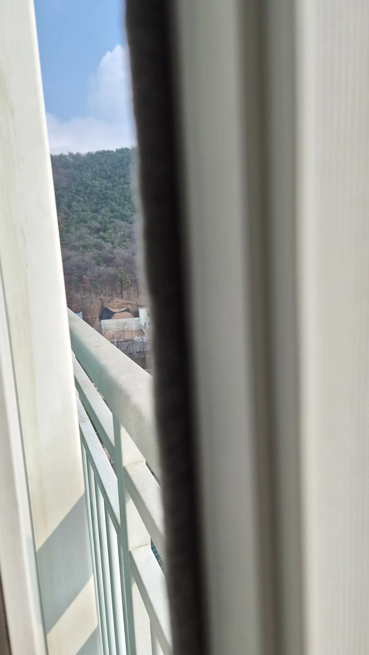 이미지 18