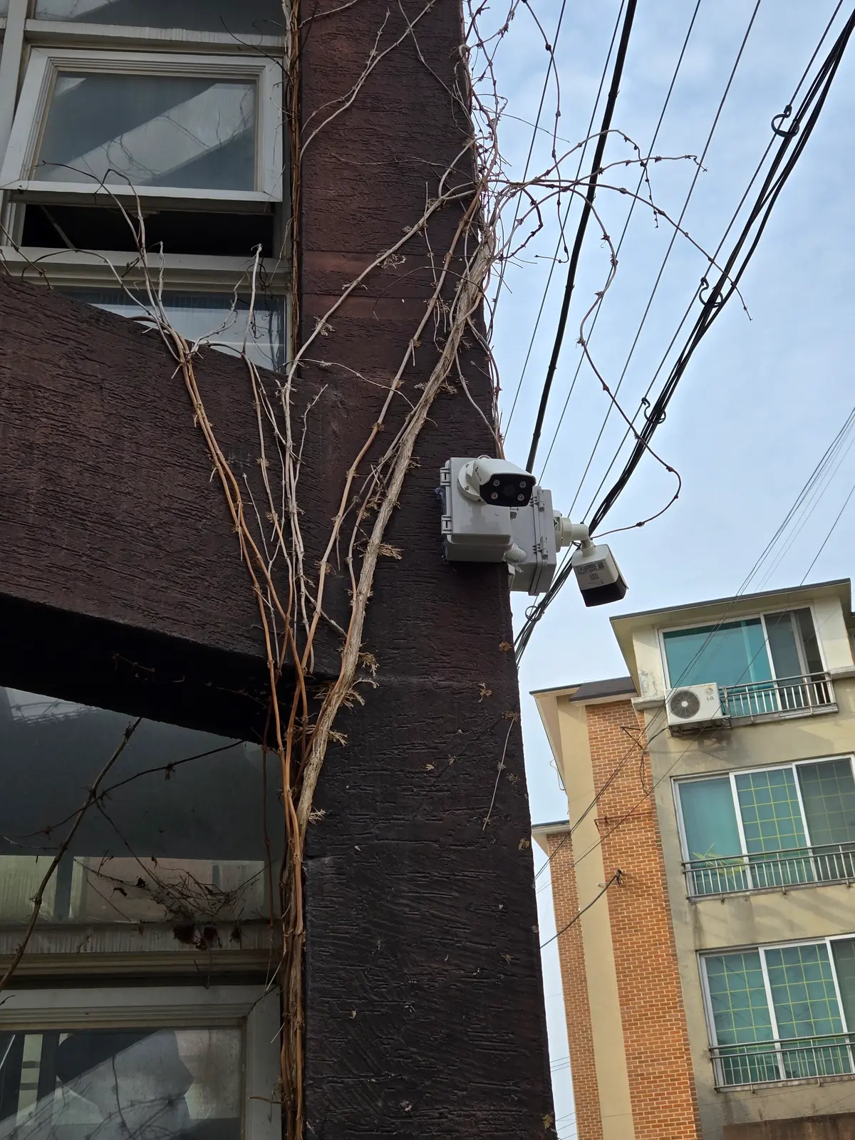 이미지 3