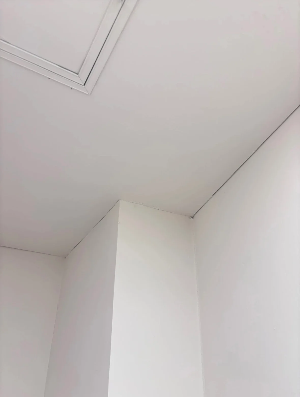 이미지 8