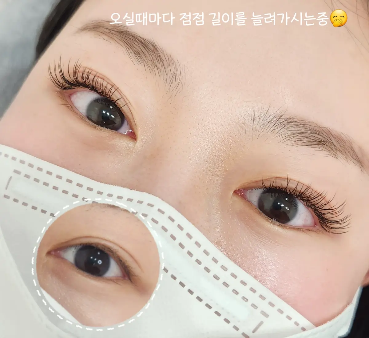 이미지 12