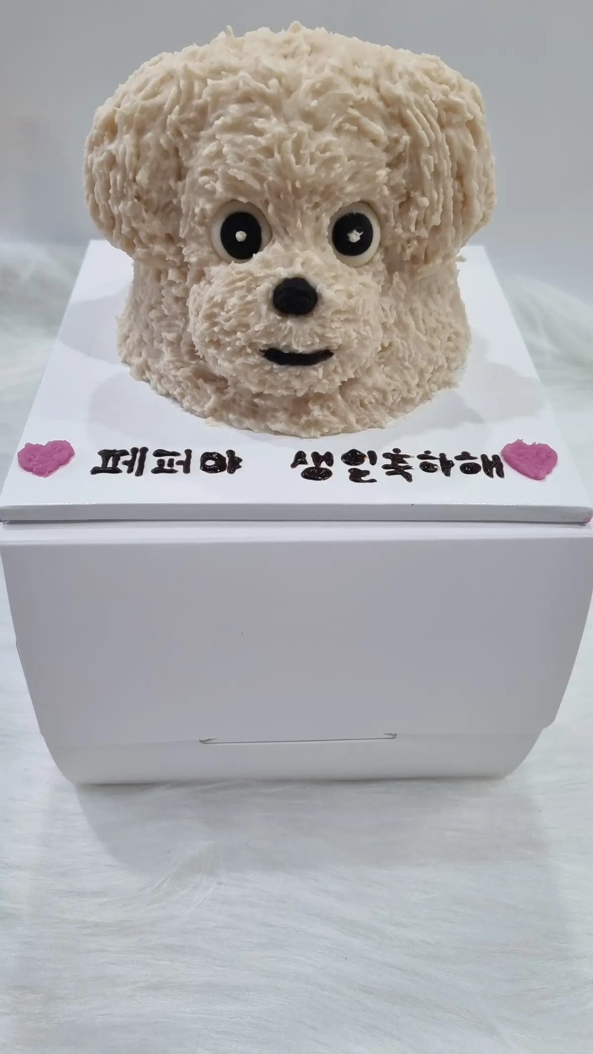 이미지 11