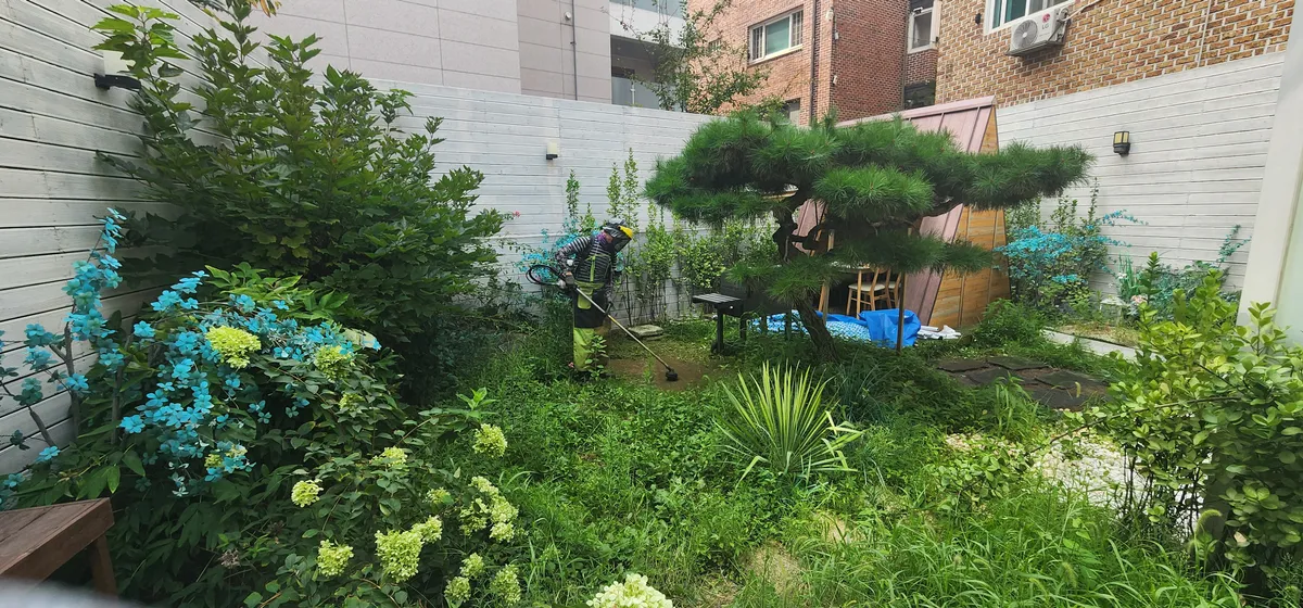 이미지 7