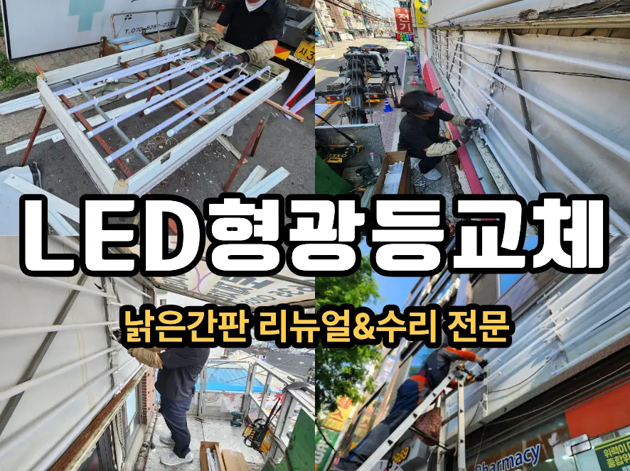 이미지 12