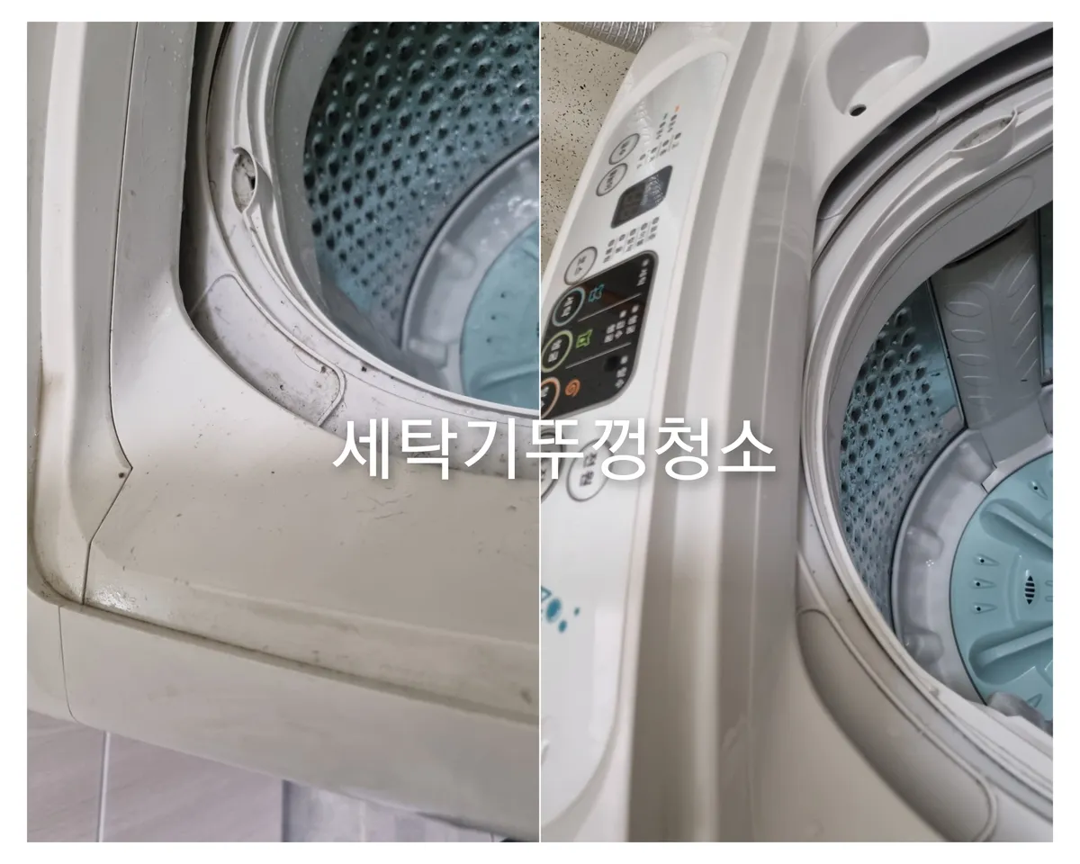 이미지 3