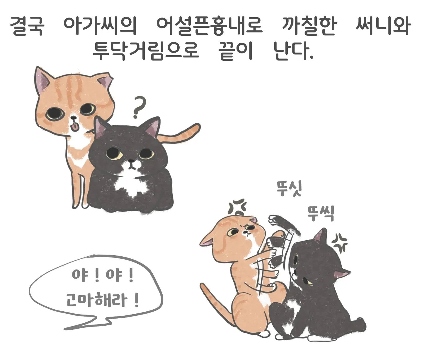 이미지 4