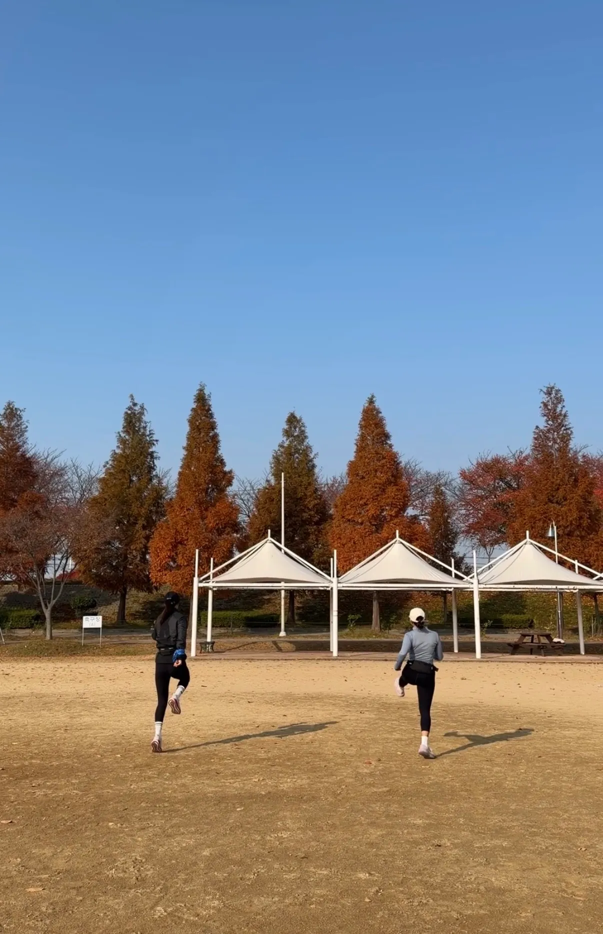 이미지 6