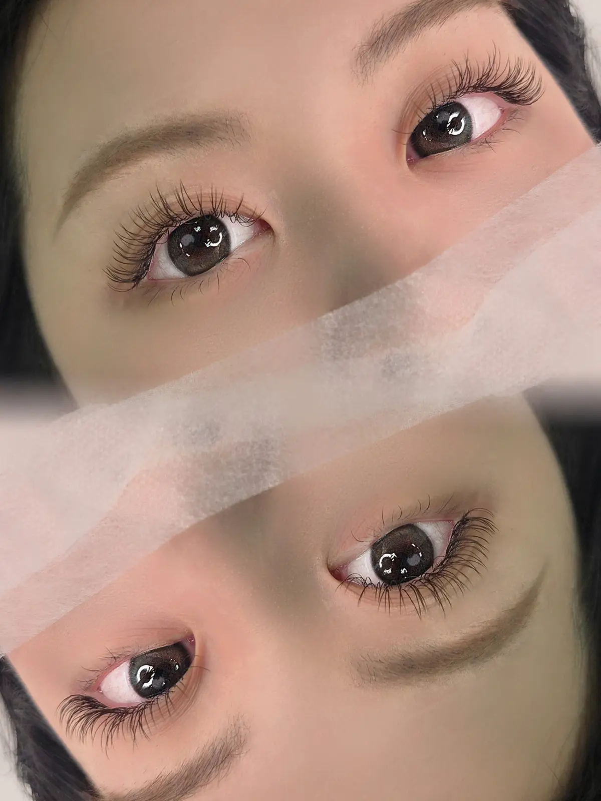 이미지 6