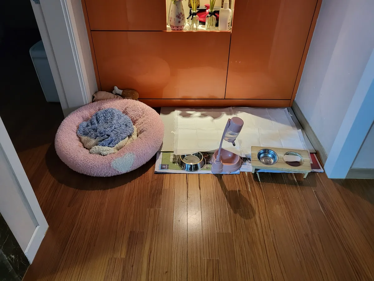 이미지 7