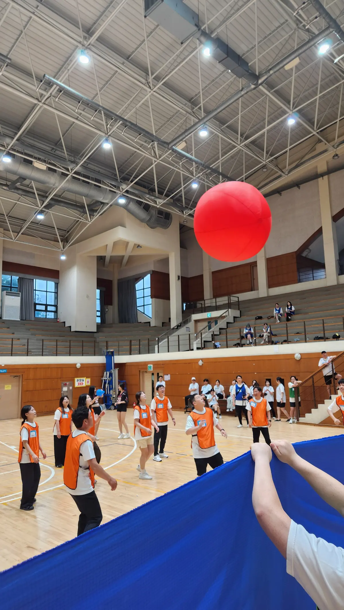 이미지 12