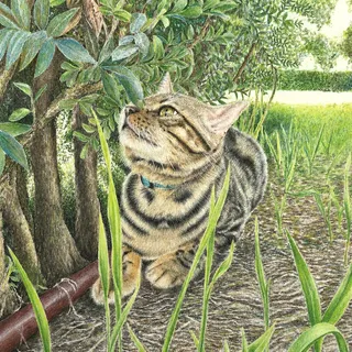 Deep in the grass, Bori.