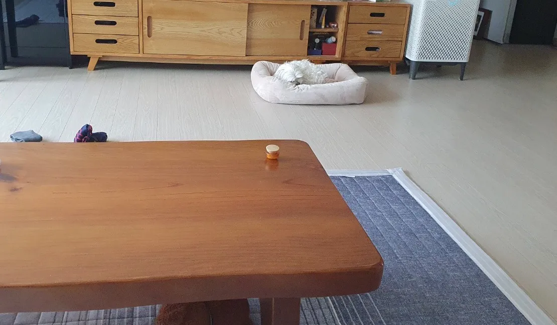 이미지 5