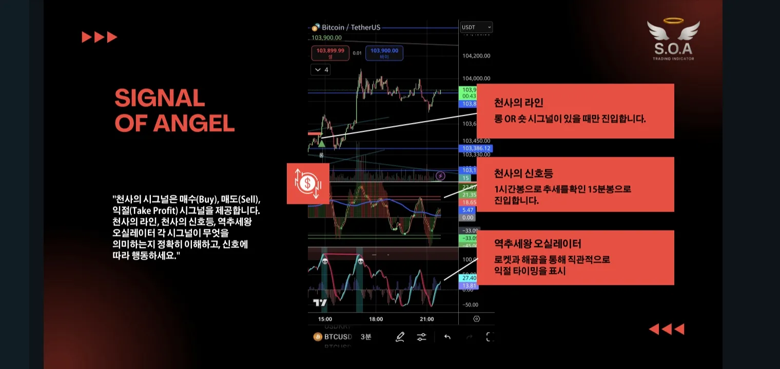 이미지 3