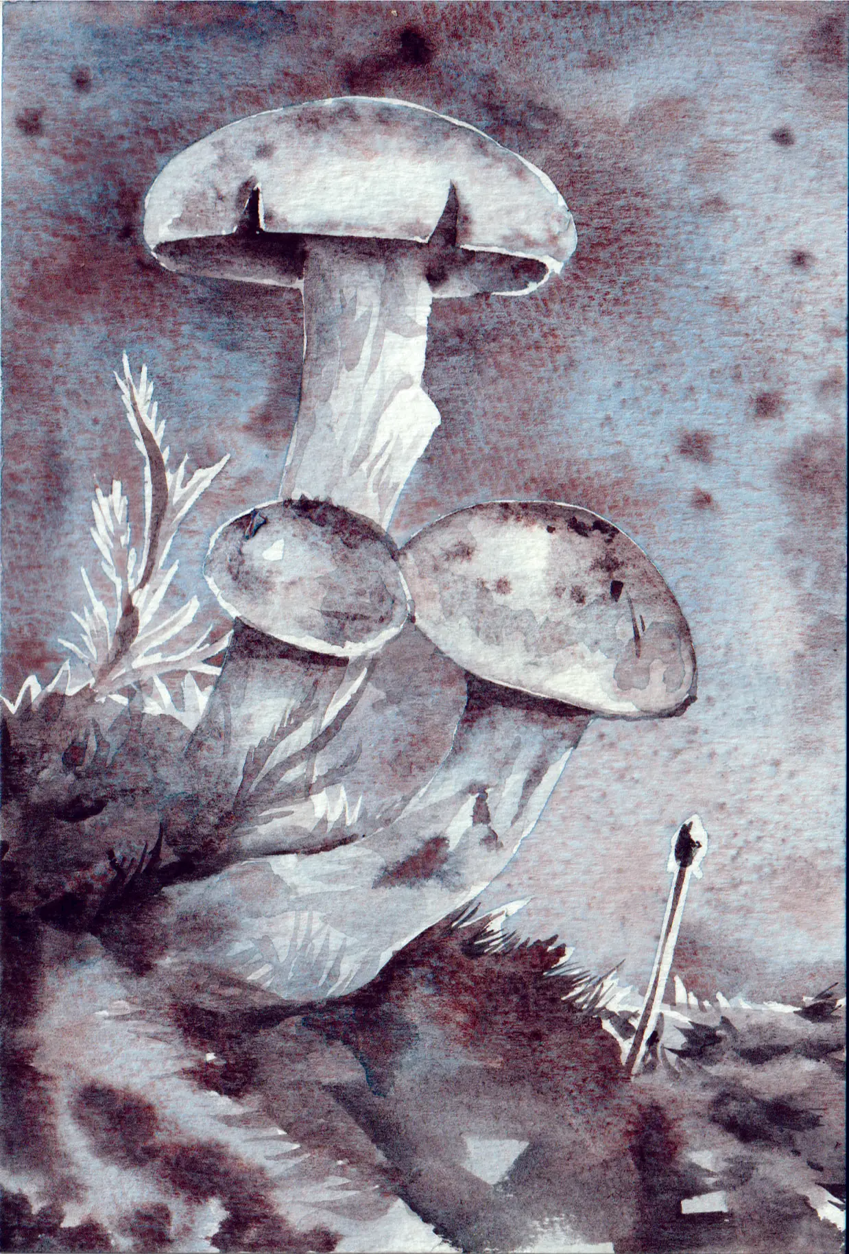 이미지 11