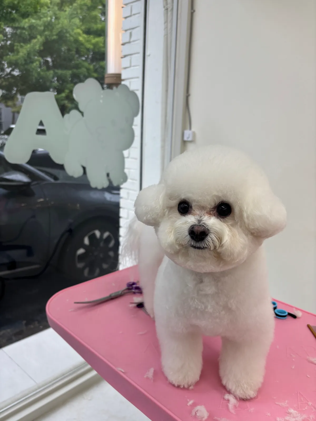 이미지 3