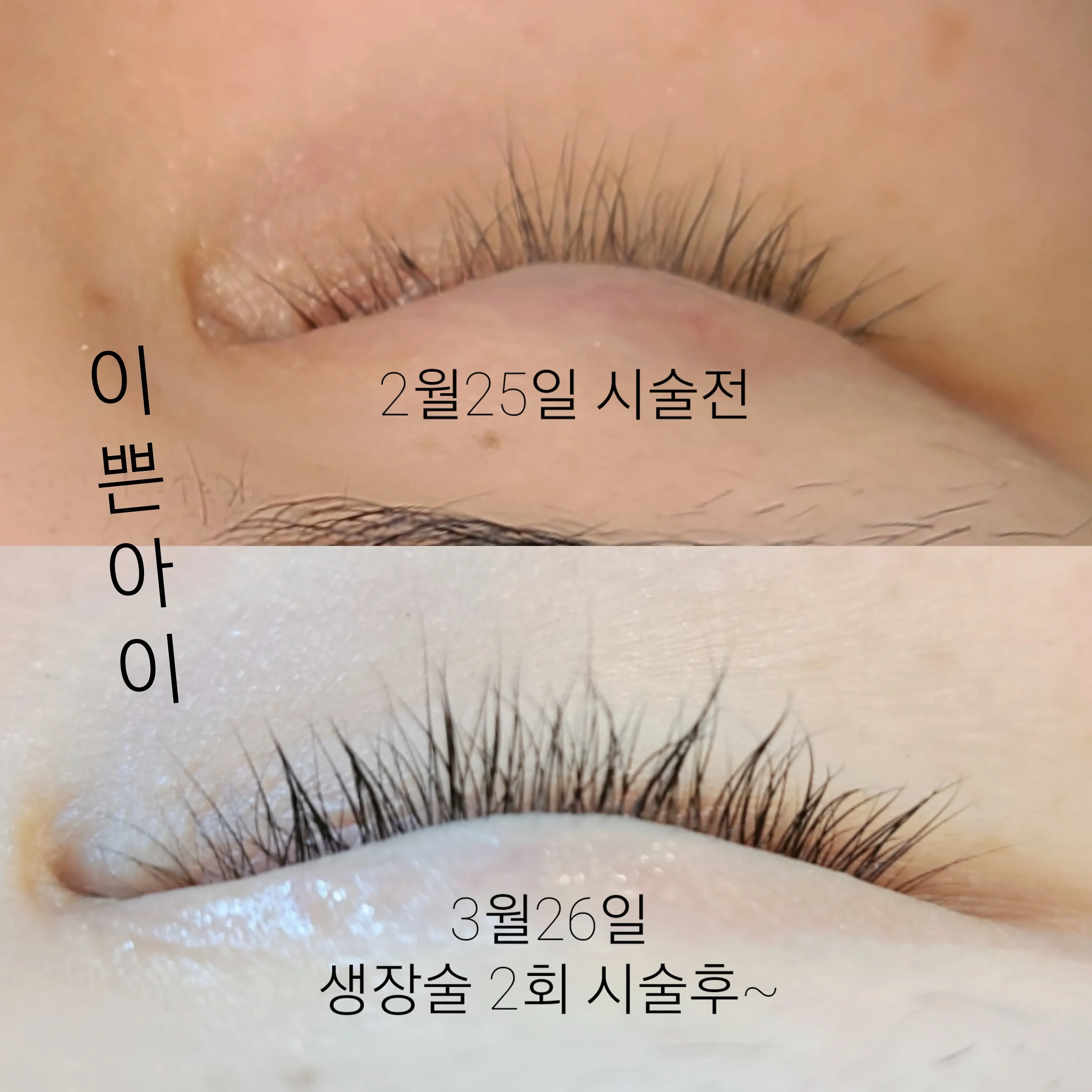 이미지 9