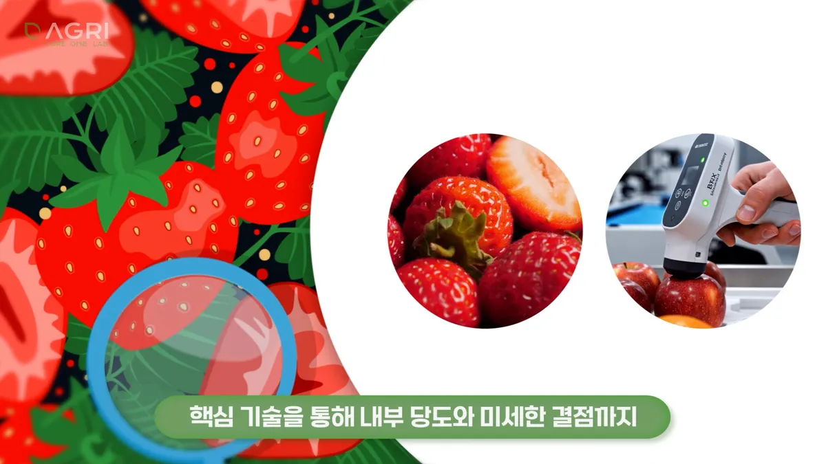이미지 12