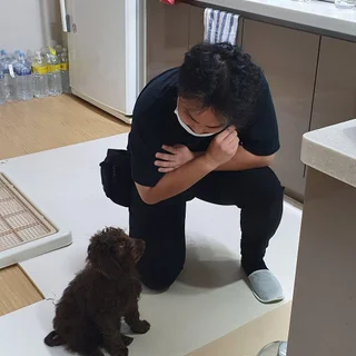 퍼피트레이닝