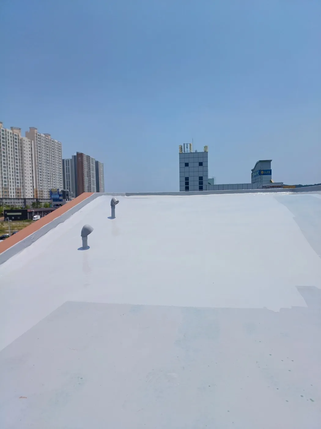 이미지 12