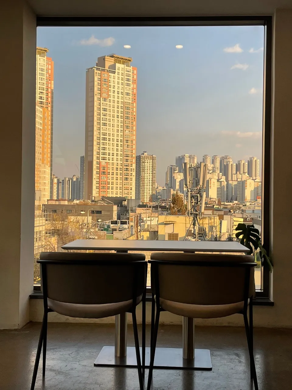 이미지 4