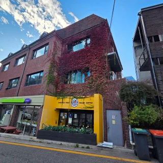 강남 빌딩 넝쿨 제거: 9시간 고소작업으로 건물 미관 완벽 복원