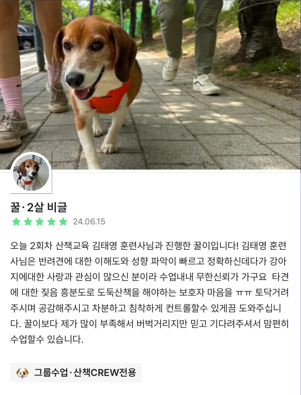 이미지 4