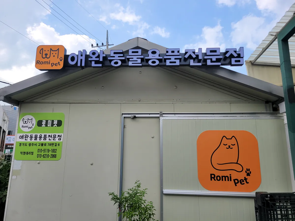 이미지 5