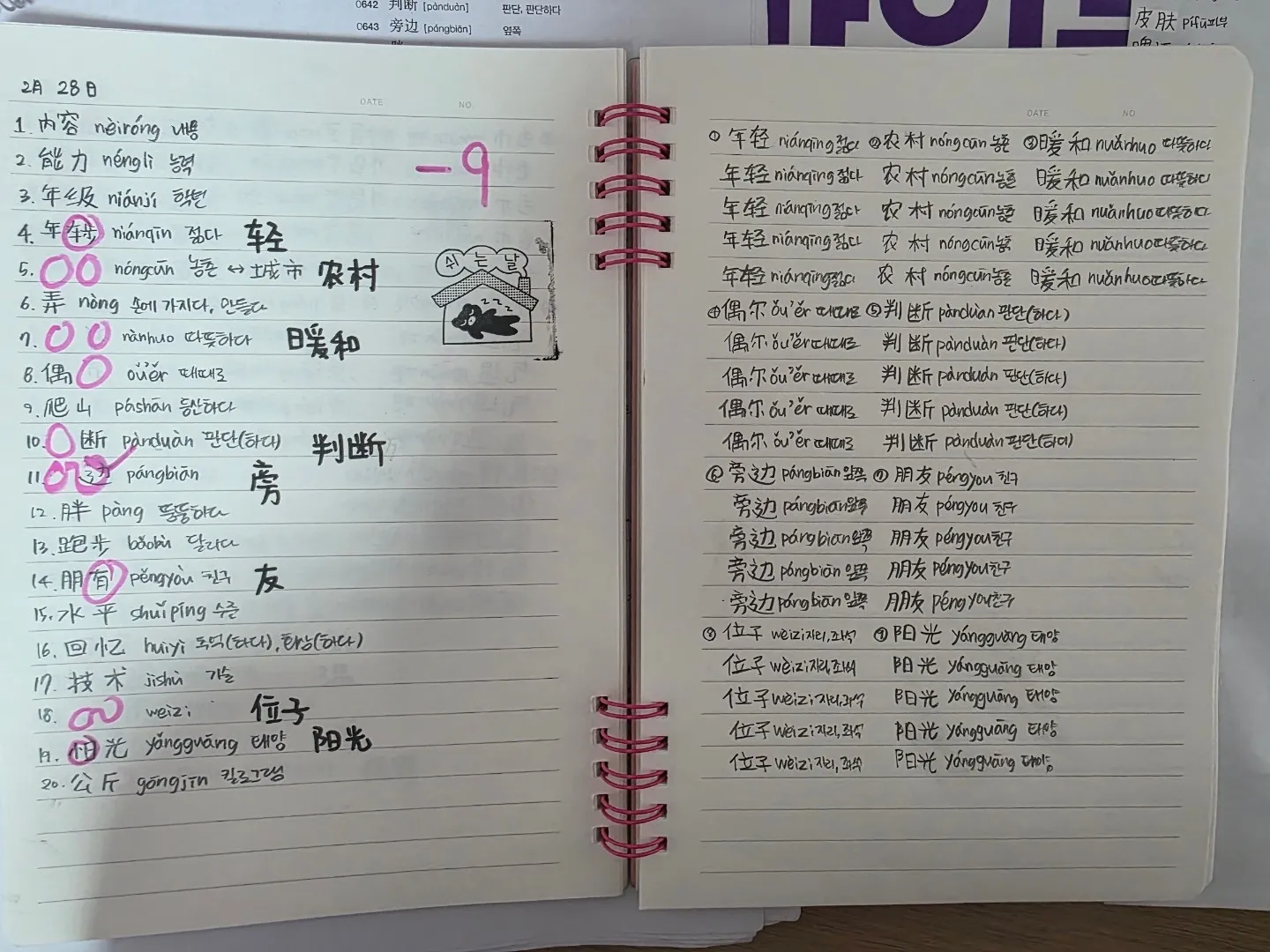 이미지 12