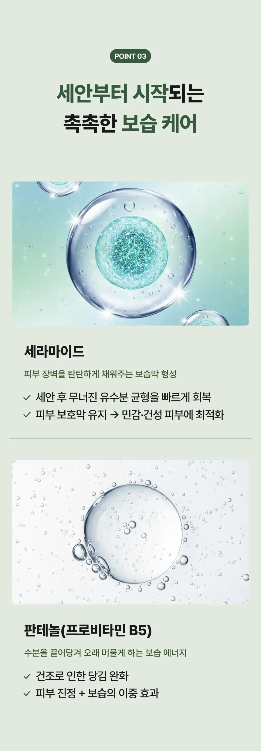 이미지 14