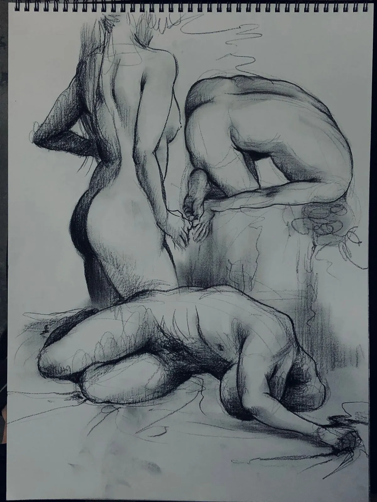 포트폴리오 이미지