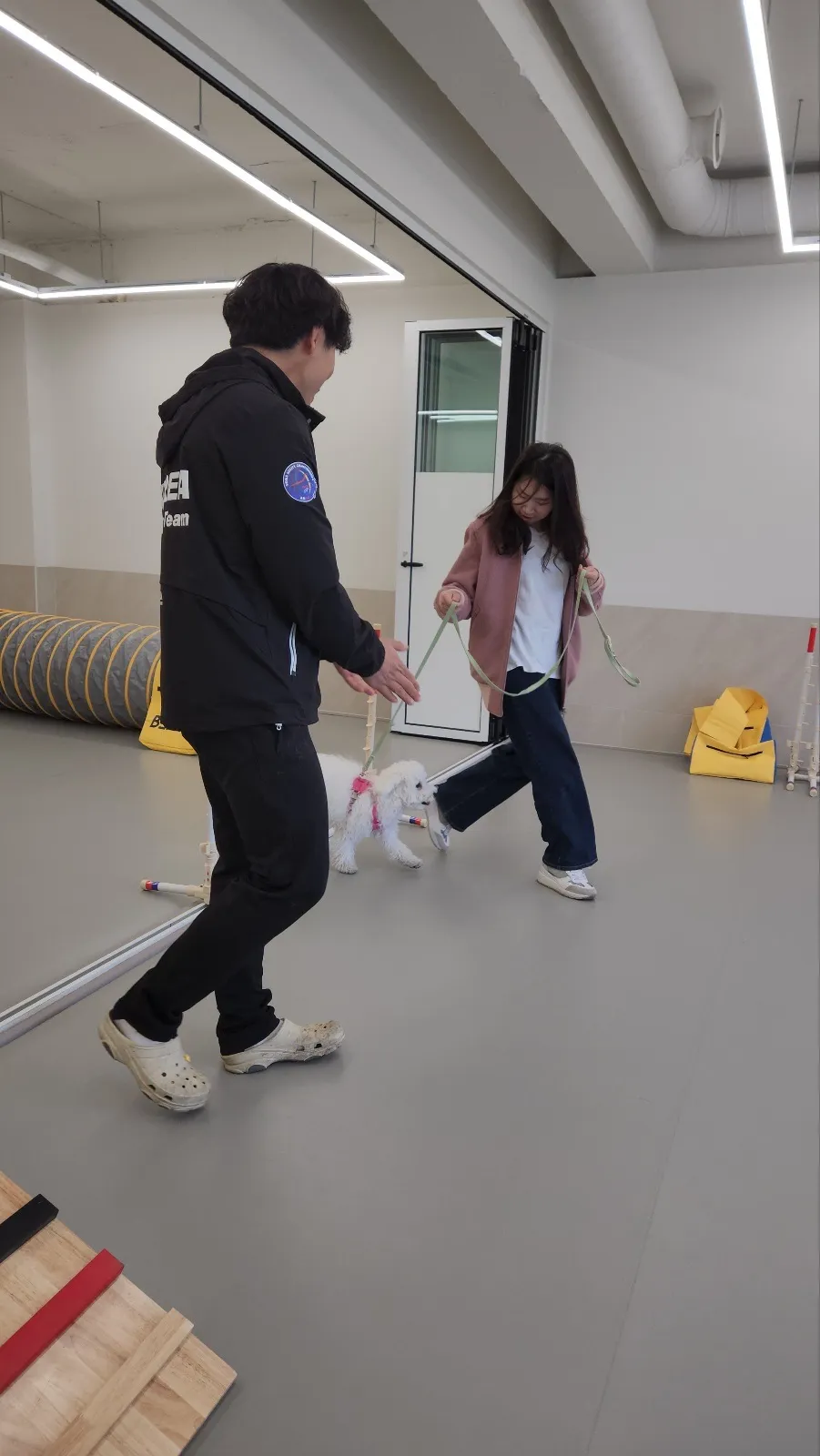 이미지 5