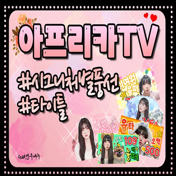 포트폴리오 이미지